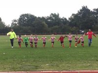 Saisonstart geglückt, 2.F-Jugend gewinnt gegen TuS Hamburg 9:4