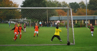 Torreicher Test; TSV Bargteheide 1.F  –  BSV 1.F   5:11  (1:8)