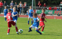 Enge Kiste; BSV 2.F – TSV Reinbek 2.F  3:5  (3:3)