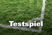 Testspiel gegen die 1.F des TSV Trittau