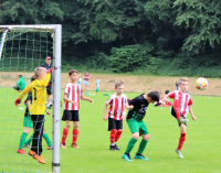 5:2 Auswärtssieg bei Grün-Weiss Harburg