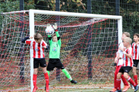 Couragierte Leistung bei den 2008ern vom Walddörfer SV