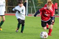 BSV verliert nach guter Leistung 1:4 gegen SVNA