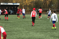 0:5 Heimpleite zum Abschluß