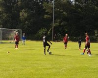 Härtetest beim FC St.Pauli