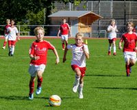 BSV zurück im Titelrennen