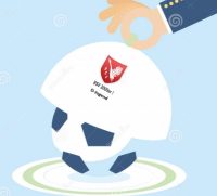 D-Jugend Fußballkonzept der „BSV 2009er !“