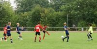 4:2 (3:1) Heimerfolg im Test gegen UH Adler